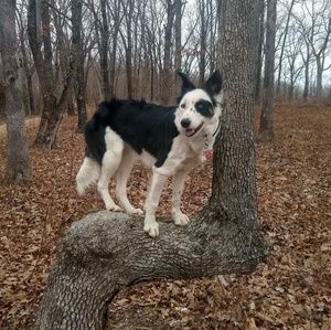 Meet your Posher, Marra